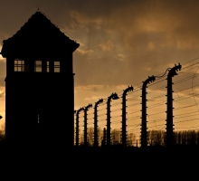 Auschwitz Birkenau Nazi Camp